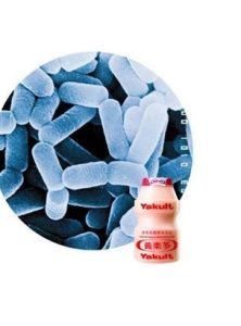 活性乳酸菌 活性乳酸菌