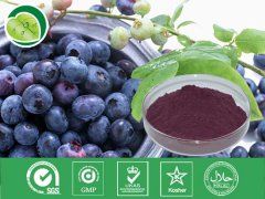 歐洲越橘提取物 歐洲越橘提取物