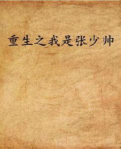 重生之我是張少帥 重生之我是張少帥