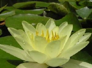 “互動維客支持環保”簽名活動