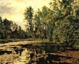 樹蔭下的池塘 樹蔭下的池塘