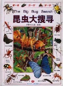 昆蟲大搜尋 昆蟲大搜尋