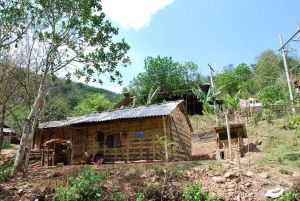 秀花自然村 秀花自然村