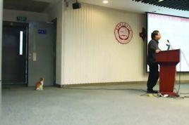 中科大學術貓 中科大學術貓