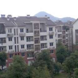 香園新村 香園新村