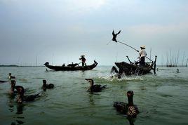 洞庭漁歌[民歌]