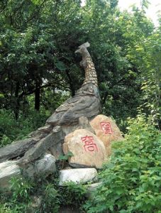 高公島凰窩景區 高公島凰窩景區