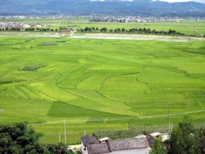 廟爾溝鄉 廟爾溝鄉