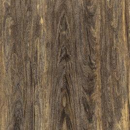 非洲黃金木 非洲黃金木