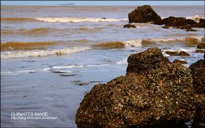 宋皇城海灘 宋皇城海灘