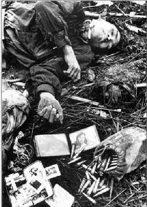 阿爾及利亞民主解放戰爭