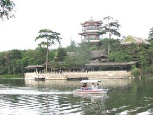 魔島理論 魔島理論