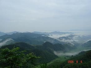 西傾山地區植物區系 西傾山地區植物區系