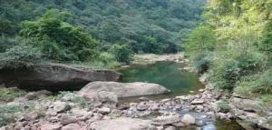 津市國有林場 津市國有林場