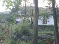 屋基自然村 屋基自然村