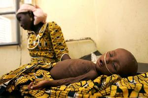 2010年全球飢餓指數