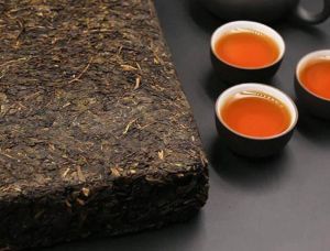 禪洱茯茶 禪洱茯茶