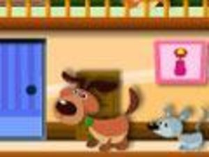 貓咪獵手 貓咪獵手