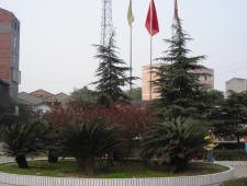 天偉中學 天偉中學