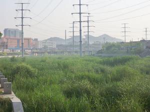 張村集鄉 張村集鄉