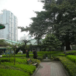 新華書店單位房 新華書店單位房