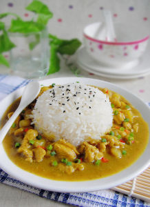 印度咖喱雞丁飯 印度咖喱雞丁飯