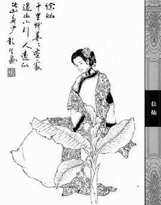 徐燦[明末清初女詞人]