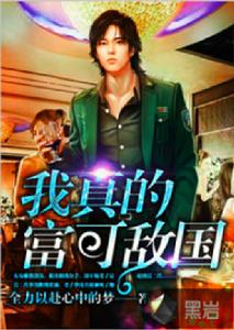 我真的富可敵國