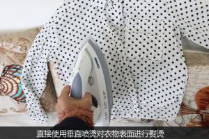 卓力蒸汽熨燙機