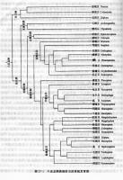六足總綱 六足總綱
