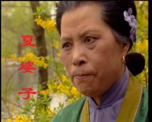 夏婆子 夏婆子