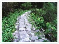 南絲路[中國最古老的國際通道之一]