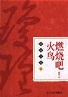 小說《燃燒吧!火鳥》