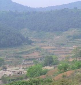 東溝自然村 東溝自然村