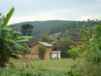 汪頭自然村 汪頭自然村