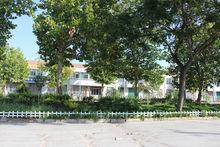 蓬萊市北溝鎮大姜家村