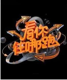 看你往哪跑[全民追逃真人秀節目]