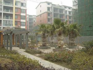 荊州金港花園二期 荊州金港花園二期