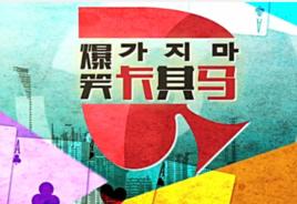 爆笑卡其馬 爆笑卡其馬