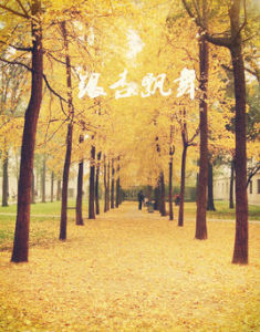 銀杏飄舞 銀杏飄舞