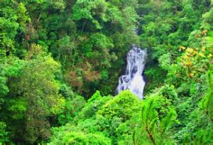 三灣景區 三灣景區