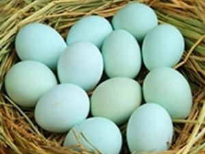 烏雞蛋