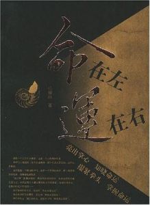 命在左運在右 命在左運在右