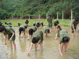 綜合實踐活動課程 綜合實踐活動課程