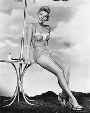 金&middot;諾瓦克