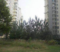 創興公寓 創興公寓