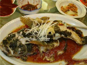 泰國筍殼魚