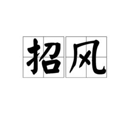 招風 招風