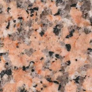 Rosa Capri Rosa Capri