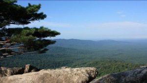 雙子山原始森林公園 雙子山原始森林公園
